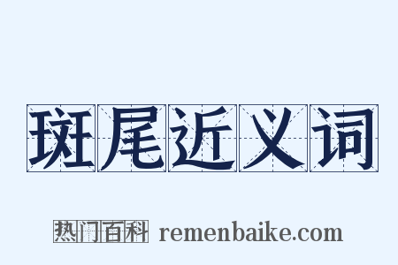 斑尾近义词是什么意思的图片